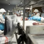 Reforma laboral: las diez claves del proyecto que impulsa Javier Milei