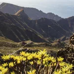 Fallece un hombre de 48 años tras sufrir un accidente en el barranco Bujame de Teno (Tenerife)
