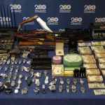 La Policía desmantela un cártel de la droga en el puerto de Valencia que controlaba hasta los turnos de trabajo de los estibadores