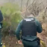 Encuentran herido a un hombre en Cenicientos que fue al bosque a por leña el pasado jueves y desapareció
