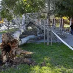 La Generalitat envía un ES-Alert por vientos huracanados en toda la Comunidad Valenciana y pide evitar desplazamientos