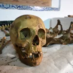 Los orígenes gallegos de Cristóbal Colón: un estudio genético de sus descendientes apunta hacia Pedro Álvarez de Sotomayor