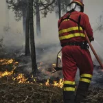 Así están los incendios en España: el de La Mierla, el segundo más extenso de la historia, en fase de estabilización; evolución favorable en Brieva y Almorox