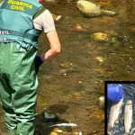 Investigan a un ganadero por un vertido de purines que afectó a los ríos Pisueña y Llerana (Cantabria) y mató a 2.100 peces