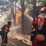 El Gobierno declara la emergencia de interés nacional en Madrid y Ávila por los incendios