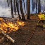Los expertos urgen a alcanzar un Pacto de Estado contra incendios: “No es cuestión de ser de derechas o de izquierdas, nuestro futuro depende de ese acuerdo”