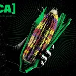Se viene la 8ª edición del Festival Internacional de Cine Ambiental