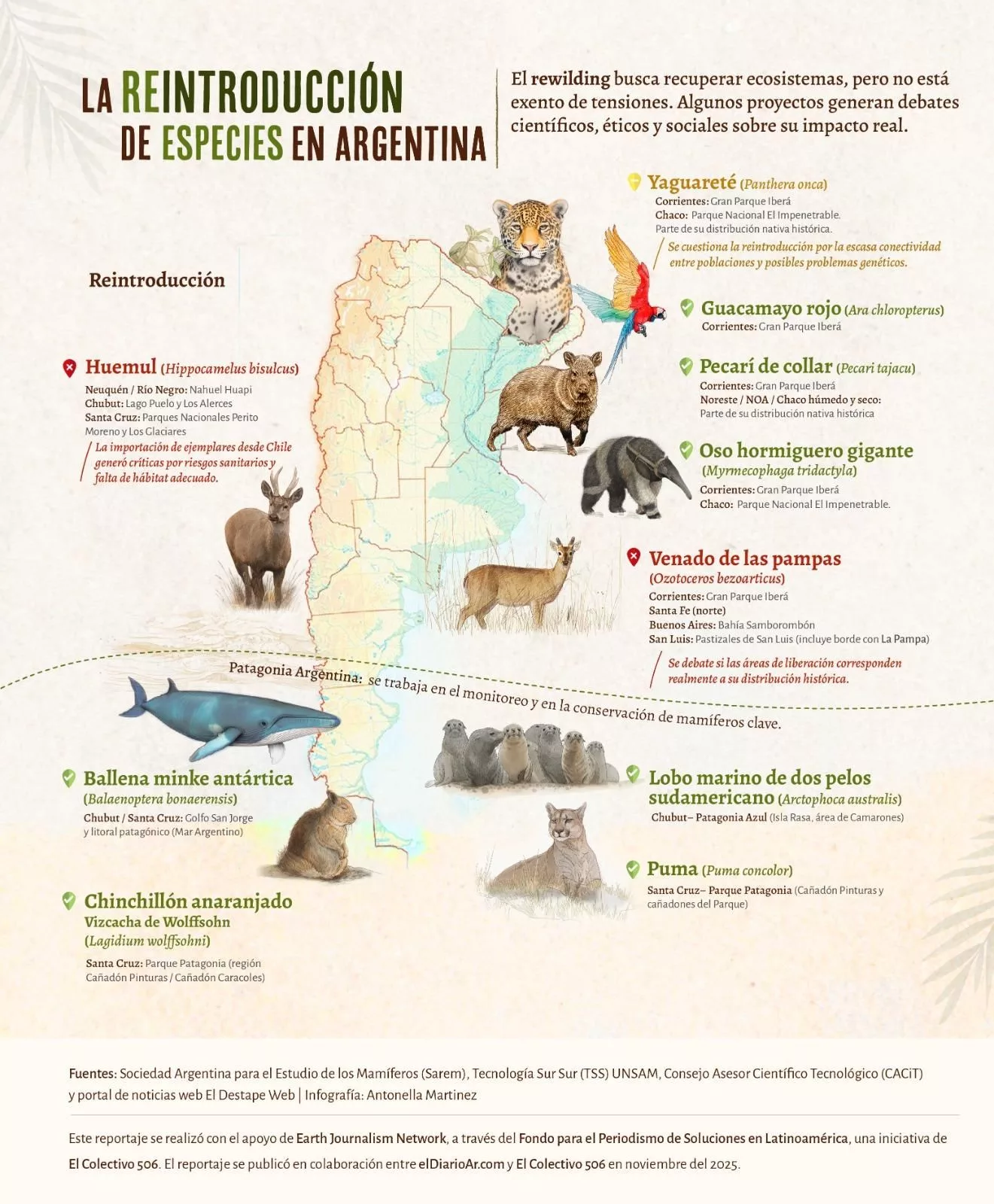 La reintroducción de especies en Argentina