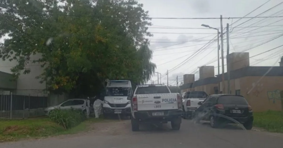 Una mujer apuñaló a un jubilado en La Plata: dijo que hacía exhibiciones obscenas delante de sus hijos