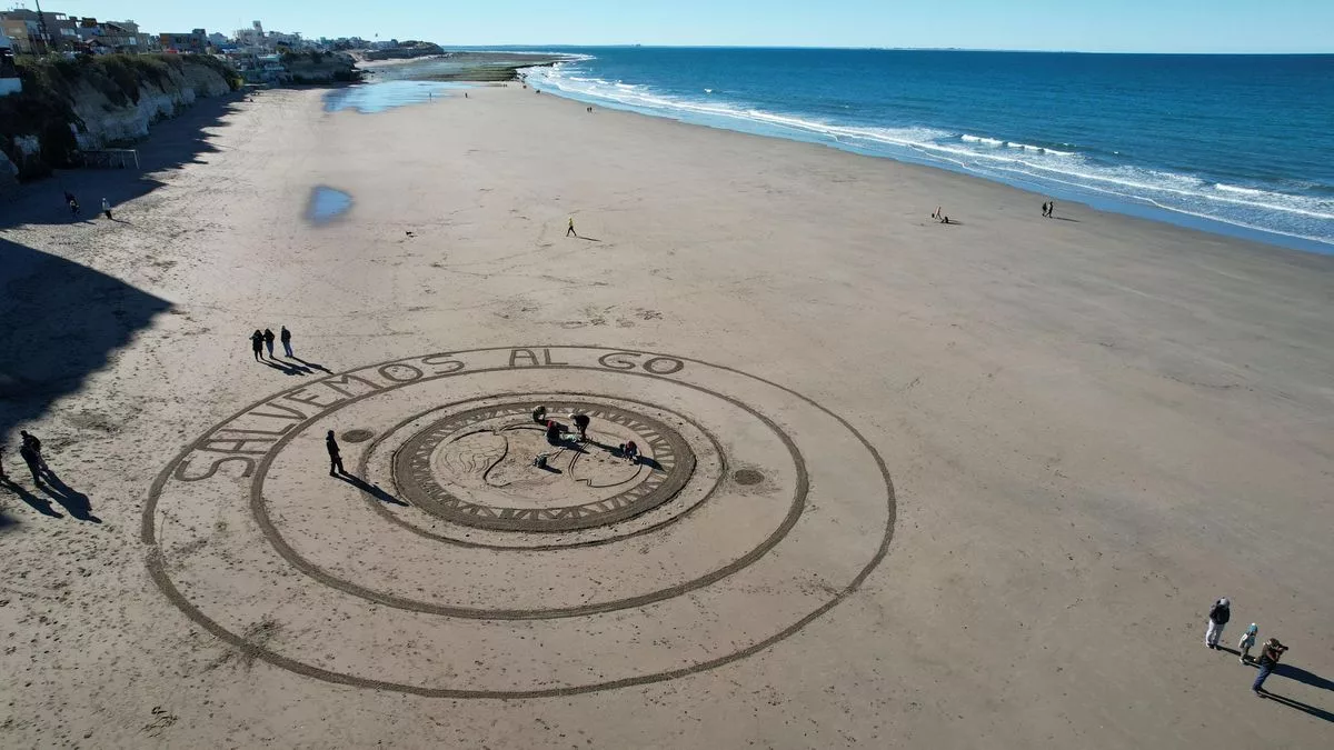 Manifestación en playas del Golfo San Matías, Río Negro. La zona afectada por un cambio en la legislación es el área de reproducción de especies icónicas del Mar Argentino, como la Ballena Franca Austral y el Pingüino de Magallanes.