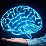 Día Mundial del Cerebro: ¿por qué se celebra el 22 de julio?