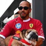 Murió Roscoe, el perro que acompañó a Lewis Hamilton durante toda su carrera
