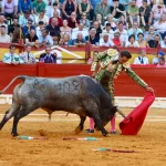 Gran dimensión de El Cid ante una excepcional corrida de Victorino Martín