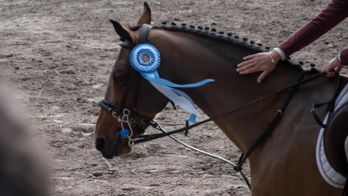 Foto de referencia. La familia de Brunello siempre estuvo cerca de los caballos. Durante los años 90, lo que era un hobby de su padre, la equitación, se convirtió en el negocio familiar que los sacó a flote económicamente con un establecimiento ecuestre.
