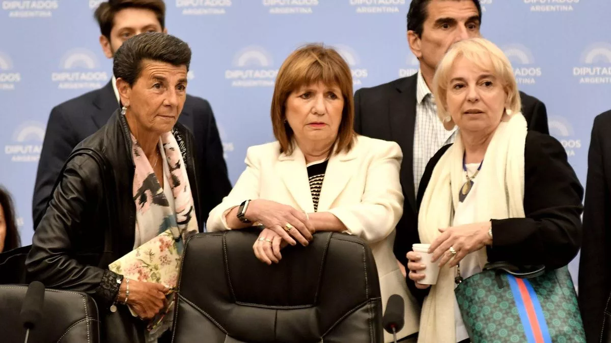 Bullrich defiende en Diputados el Presupuesto 2026 de Milei