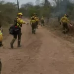 Los incendios forestales ya arrasaron más de 2.000 hectáreas en el norte de Salta y el fuego sigue fuera de control