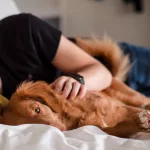 Una experta explica por qué no se recomienda dormir con tu perro o gato: “Existen motivos higiénicos para evitarlo”