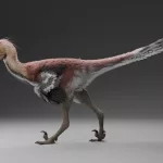 Un pariente del Velocirraptor pero hecho para la pesca: así es Kank Australis, el último dinosaurio desenterrado en Santa Cruz