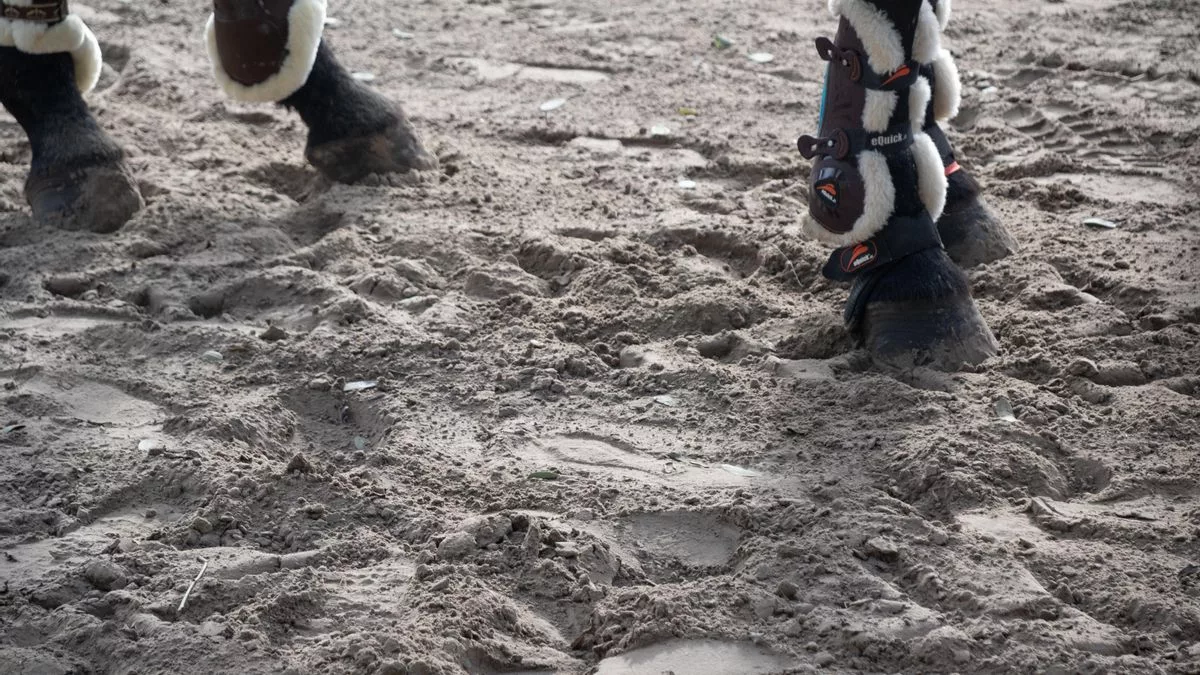 Foto de referencia. Después del abuso que denuncia, Brunello siguió dando clases un tiempo más, incluso a sus 20 años llegó a tener 30 alumnos pequeños a quienes enseñaba a montar. Pero de un momento para otro, dejó todo, abandonó la equitación.