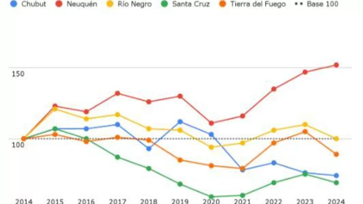 Variación del gasto ejecutado en la función Educación y Cultura a precios constantes, por provincia. Años 2014-2024. Base 100 en el año 2014. Región Patagónica.