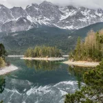 La naturaleza como guía: árboles finlandeses señalan el oro escondido bajo el suelo