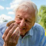 David Attenborough a los 100 años: fotografías de una vida frente a la naturaleza y sus cambios | REPORTAJE FOTOGRÁFICO
