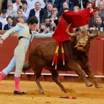 Un espectáculo de magia