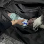 Más de 200 muertos en Irán tras los bombardeos de Estados Unidos e Israel: un grupo de niñas entre las víctimas fatales