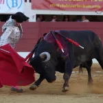 Damián Castaño y la emoción de la verdad ante un toro de Miura