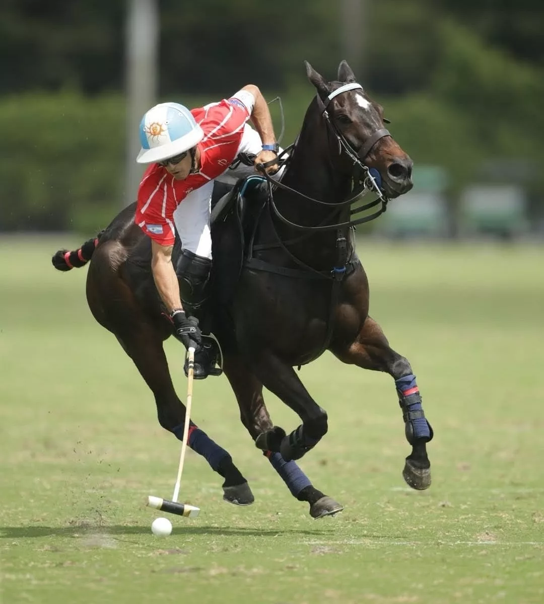 Poroto Cambiaso, en acción; las figuras aparecieron en la final en Estados Unidos