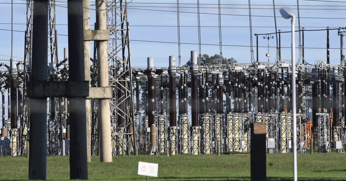 Edenor va por Transener: Manzano y Vila presentarán una oferta y Brito analiza competir