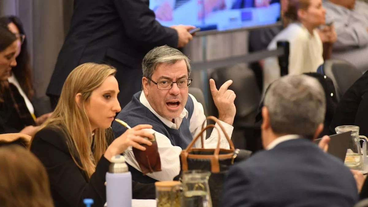 German Martínez, jefe de bloque del peronismo