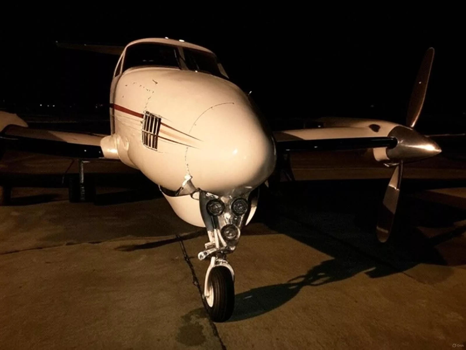 El avión King Air prestado por Federico "Fred" Machado a José Luis Espert, con el que el candidato recorrió el país, según fuentes que participaron de la campaña electoral del Frente Despertar en 2019.