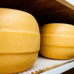 Un queso producido en Santa Fe ganó la medalla de plata en el Mundial de Suiza
