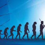 El cuerpo humano no es una obra maestra del diseño, sino un mosaico de compromisos evolutivos