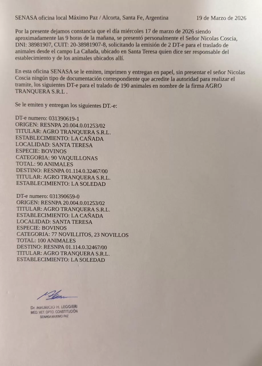 Constancia del Senasa que registraría la anulación de un Documento de Tránsito Electrónico (DT-e) por 100 bovinos, con motivo consignado como “otros – estafa”, emitida el 17 de marzo de 2026