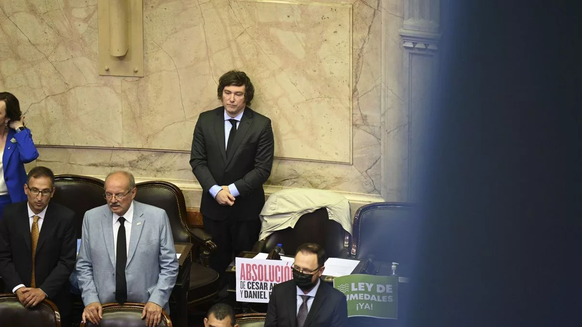 Javier Milei en sus épocas como diputado de La Libertad Avanza, en el recinto.