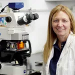 Premian a una bióloga marplatense del Conicet por crear cultivos resistentes a las olas de calor