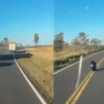 Quiso sobrepasar a un camión en plena curva y provocó un accidente múltiple que dejó tres heridos en la Ruta 14