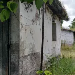 La violencia corporativa, las bananas y Milei