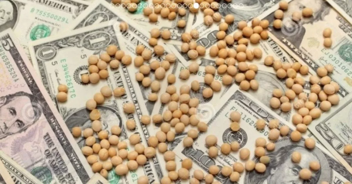 La guerra en Medio Oriente le mete presión a los granos: el precio de la soja se dispara en Chicago y alcanza máximos en casi dos años