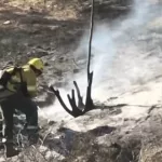 Un hombre intentó salvar a su ganado y murió en medio de los incendios en Salta