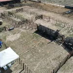 “Corral del Estado”: la solución de una provincia para las vacas que están en una situación compleja