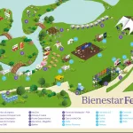 La agenda del Bienestar Fest: clases de gym, meditación, tarot, compras, shows musicales, comida, charlas y más