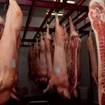 “Vamos a estar en el top 10 de los exportadores del mundo”: los despachos de cerdo crecieron un 156% y hay una oportunidad imperdible