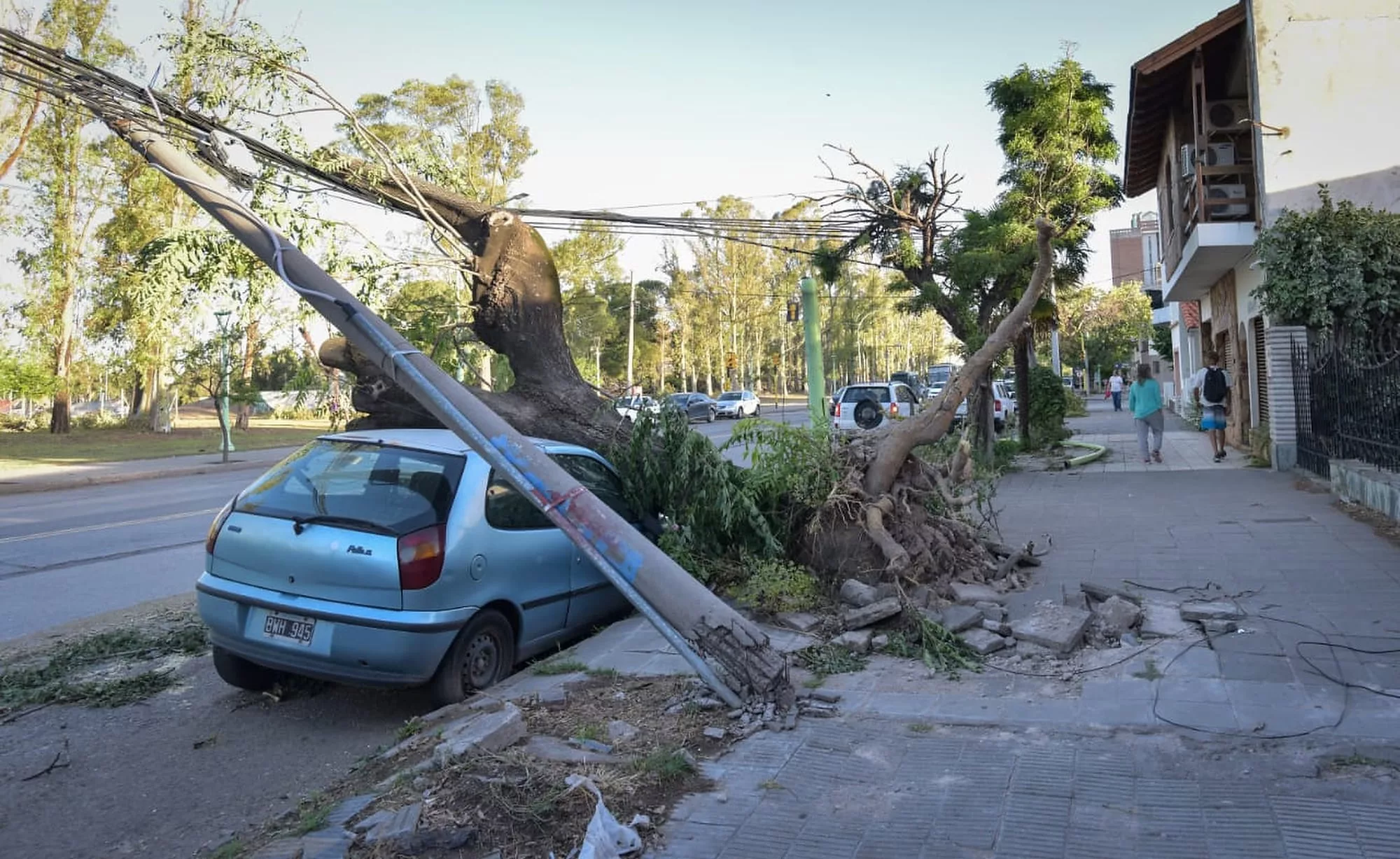 La ferocidad de los vientos arrancaron de raíz árboles, letreros y techos en diferentes barrios  