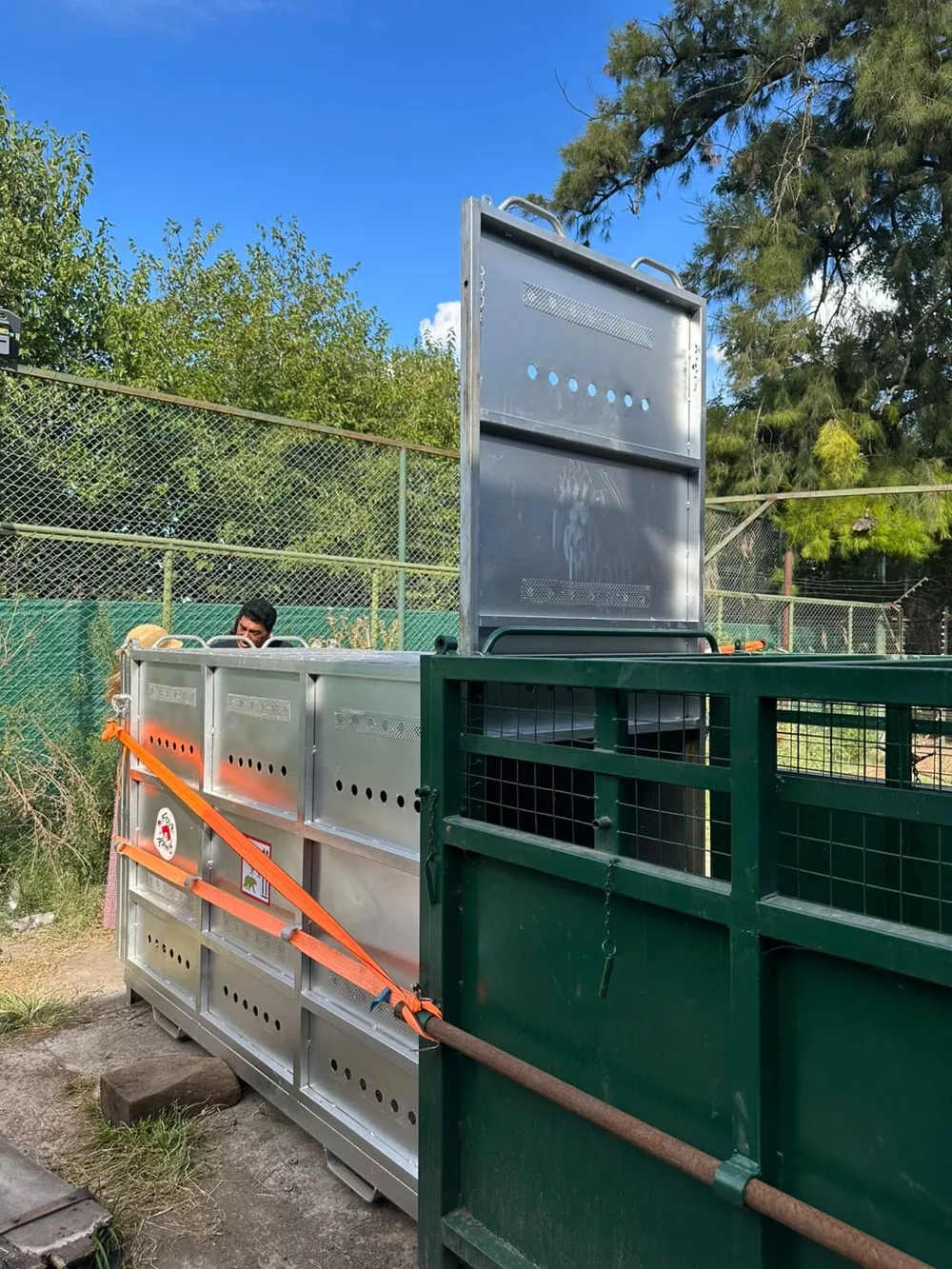 Así fueron los preparativos para el traslado a Bulgaria de los dos osos pardos del exzoológico de Luján