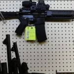 Establecen estrictos requisitos para la compra y tenencia de armas semiautomáticas por parte de civiles