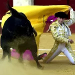 Muere el extorero Ricardo Ortiz embestido por un toro en corrales de la plaza La Malagueta
