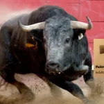 ILP antitaurina es perversa, ilegal, inconstitucional un ataque al patrimonio cultural español
